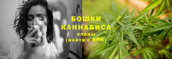 гашик Верея