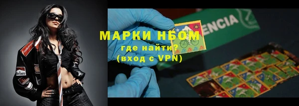 гашик Верея