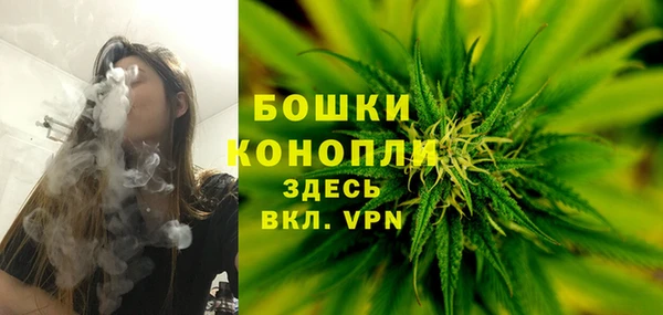 гашик Верея
