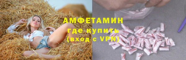 гашик Верея